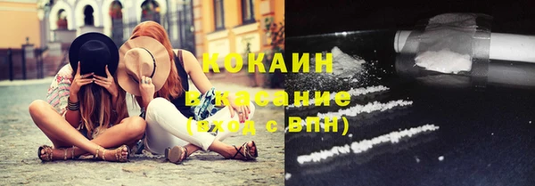 ПСИЛОЦИБИНОВЫЕ ГРИБЫ Арсеньев
