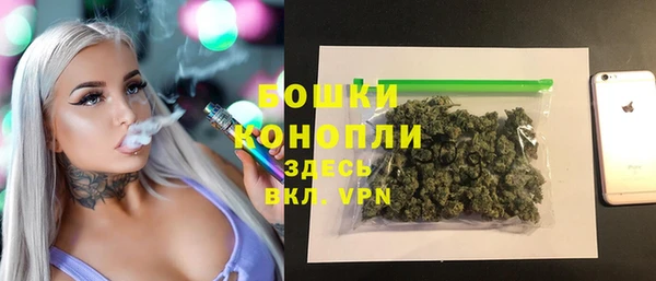 ГАЛЛЮЦИНОГЕННЫЕ ГРИБЫ Аркадак