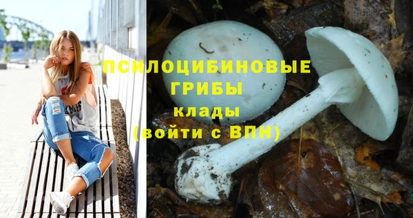 ПСИЛОЦИБИНОВЫЕ ГРИБЫ Арсеньев