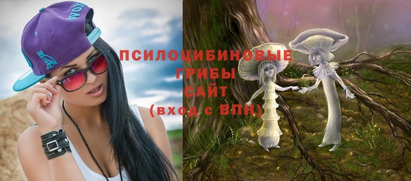 spice Армянск