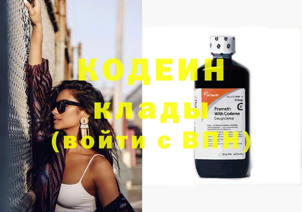 ГАЛЛЮЦИНОГЕННЫЕ ГРИБЫ Аркадак