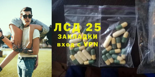 ГАЛЛЮЦИНОГЕННЫЕ ГРИБЫ Аркадак