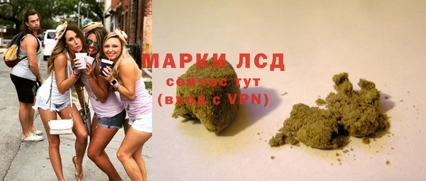 spice Армянск