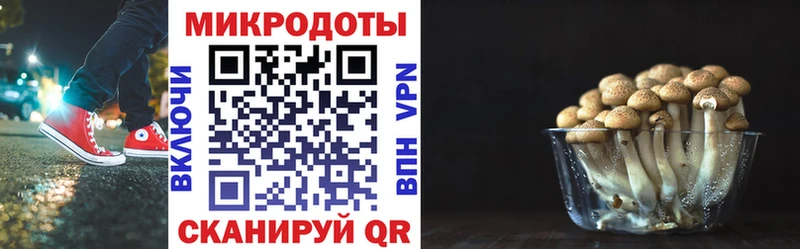 MEGA онион дарнет шоп Дзержинский Псилоцибиновые грибы MAGIC MUSHROOMS